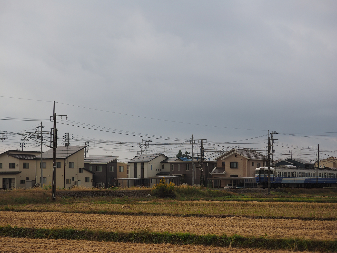 PA200564.jpg