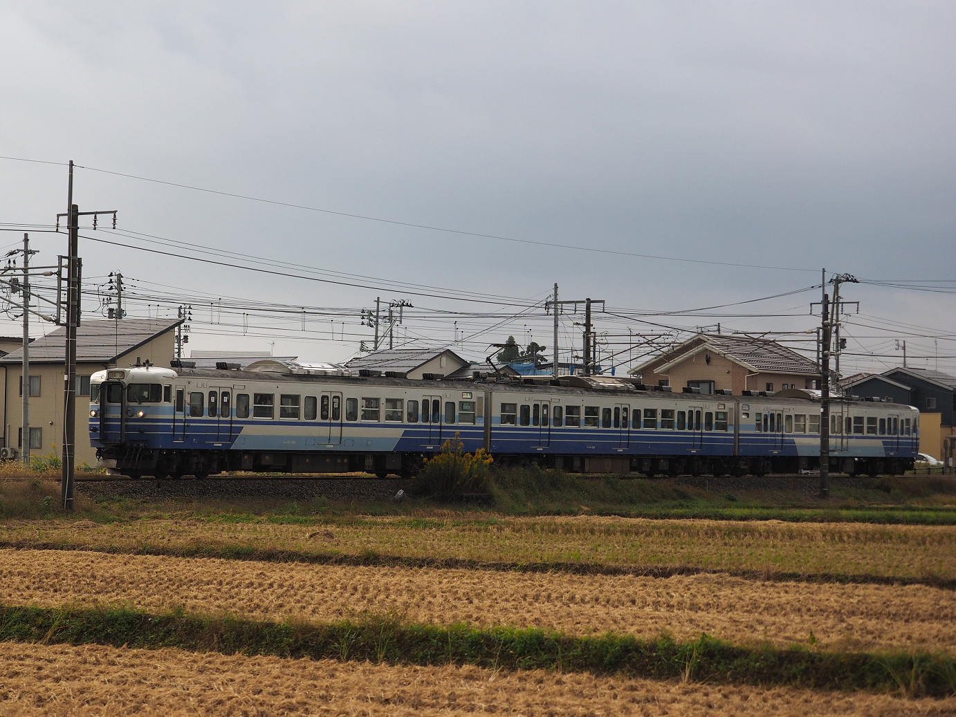 PA200565.jpg