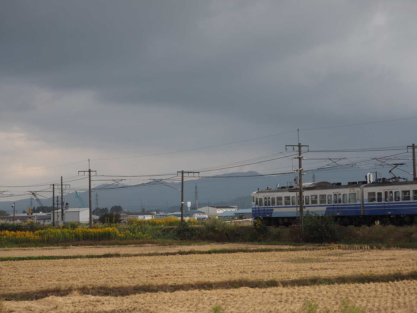 PA200566.jpg