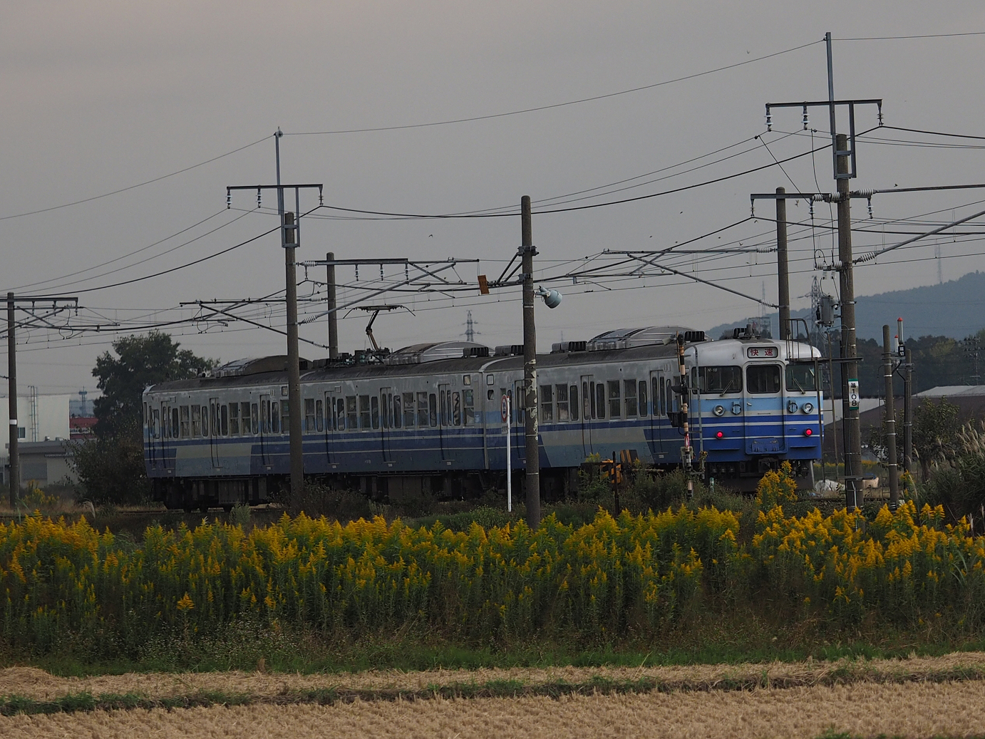 PA200568.jpg