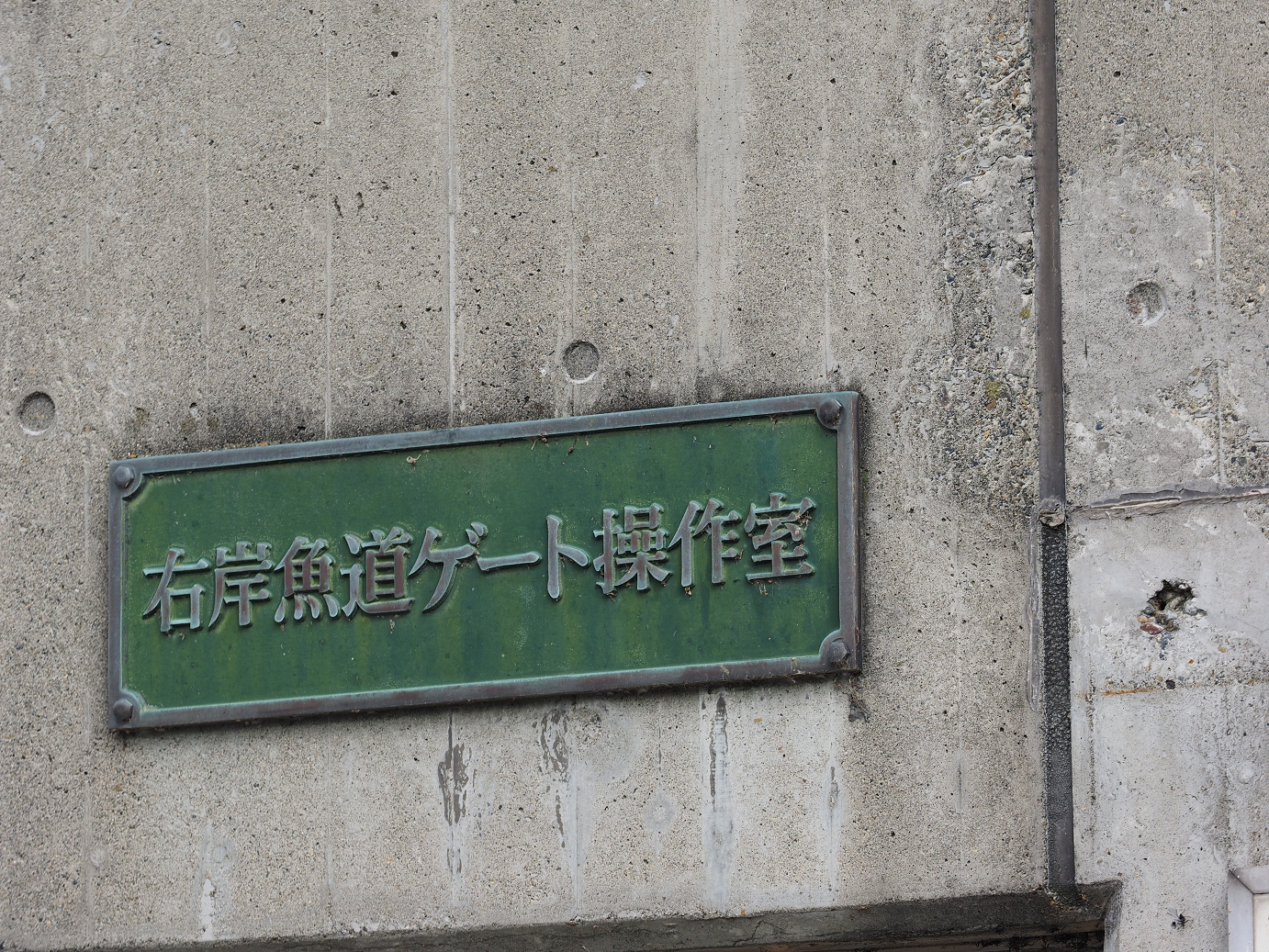 PA200613.jpg