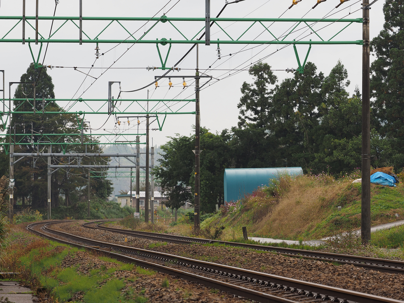 PA200615.jpg