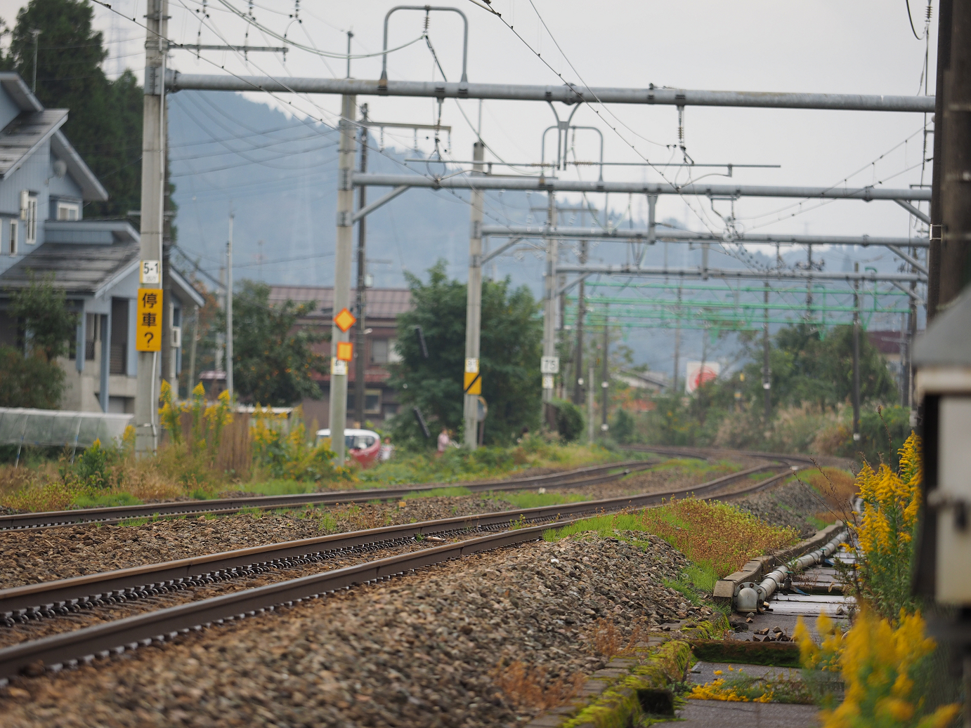 PA200620.jpg