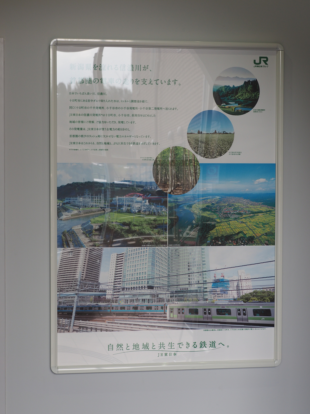 PA200701.jpg