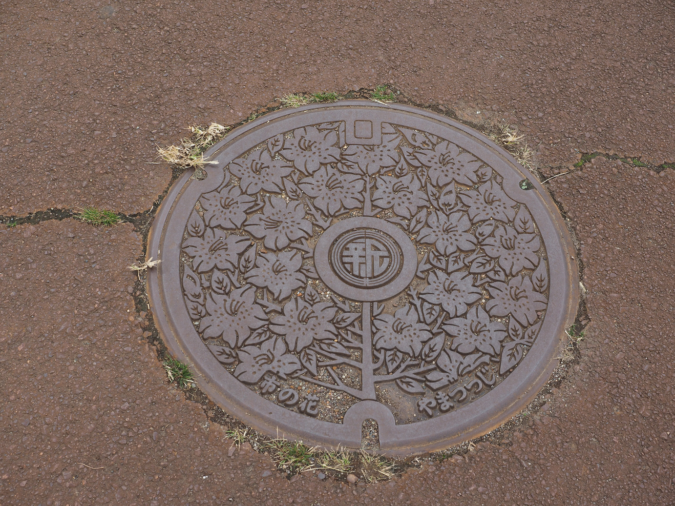 PA200793.jpg