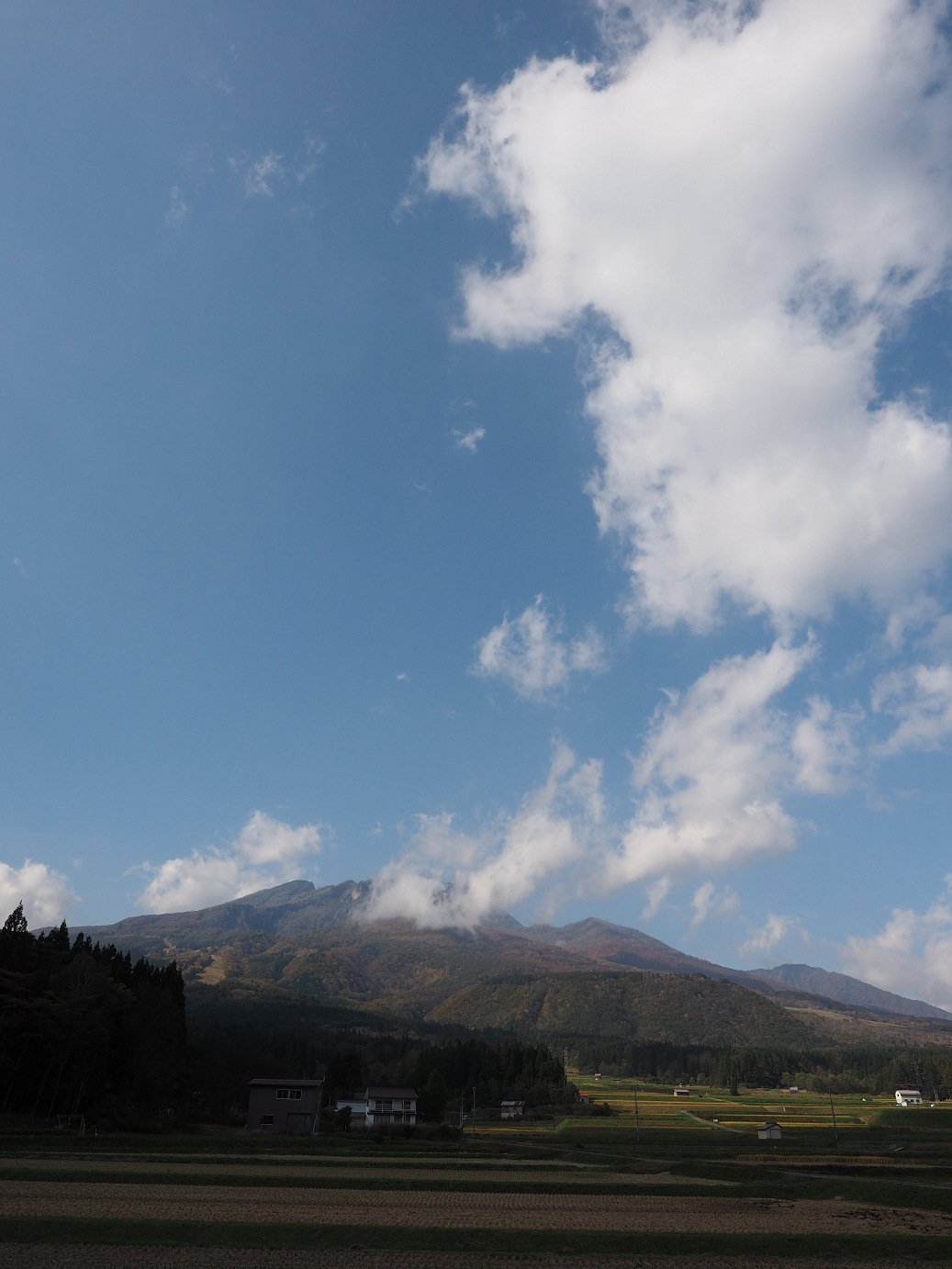 PA200839.jpg
