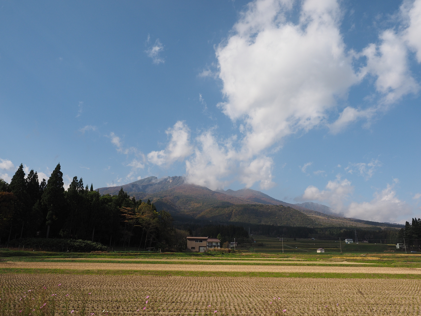 PA200857.jpg