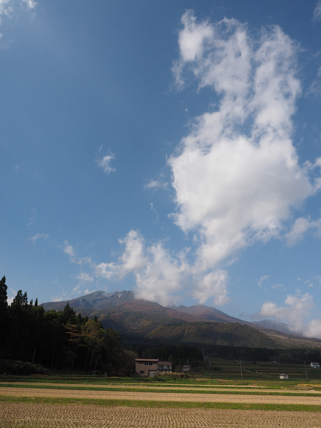 PA200859.jpg