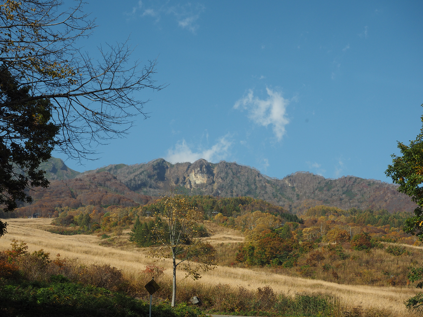PA200884.jpg
