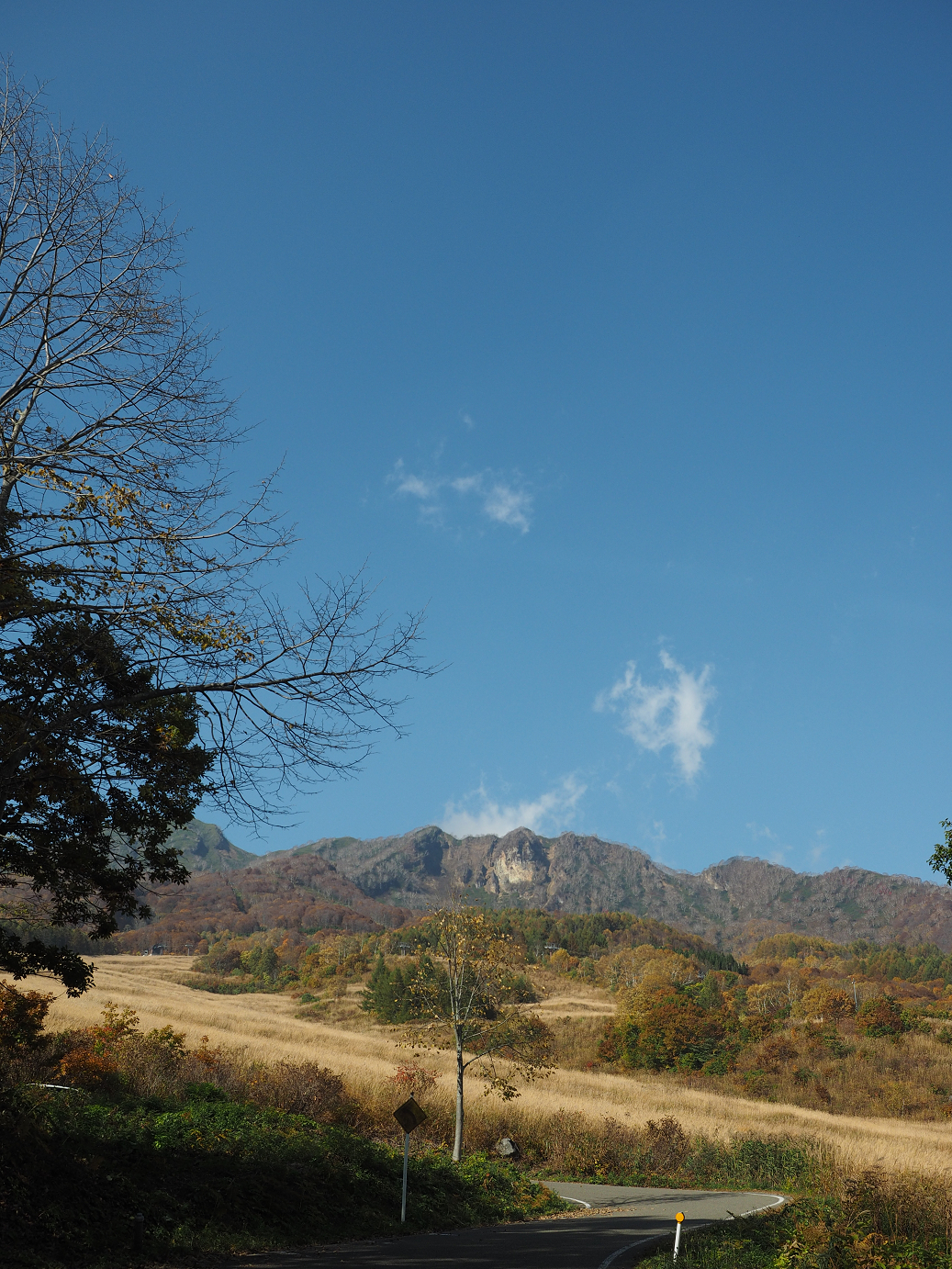 PA200885.jpg