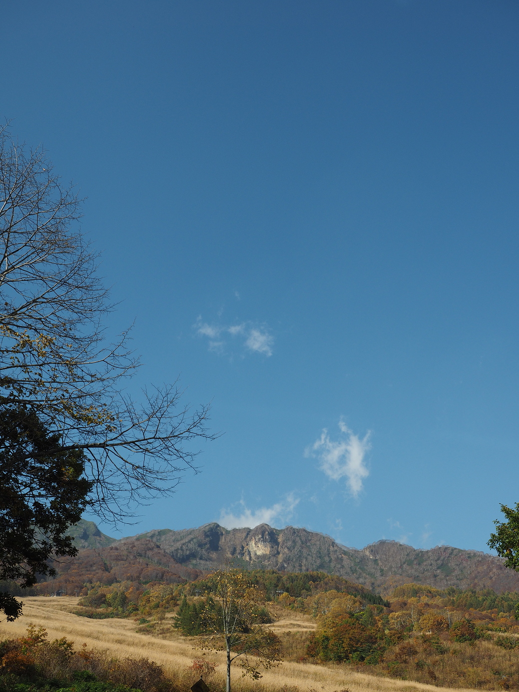 PA200886.jpg