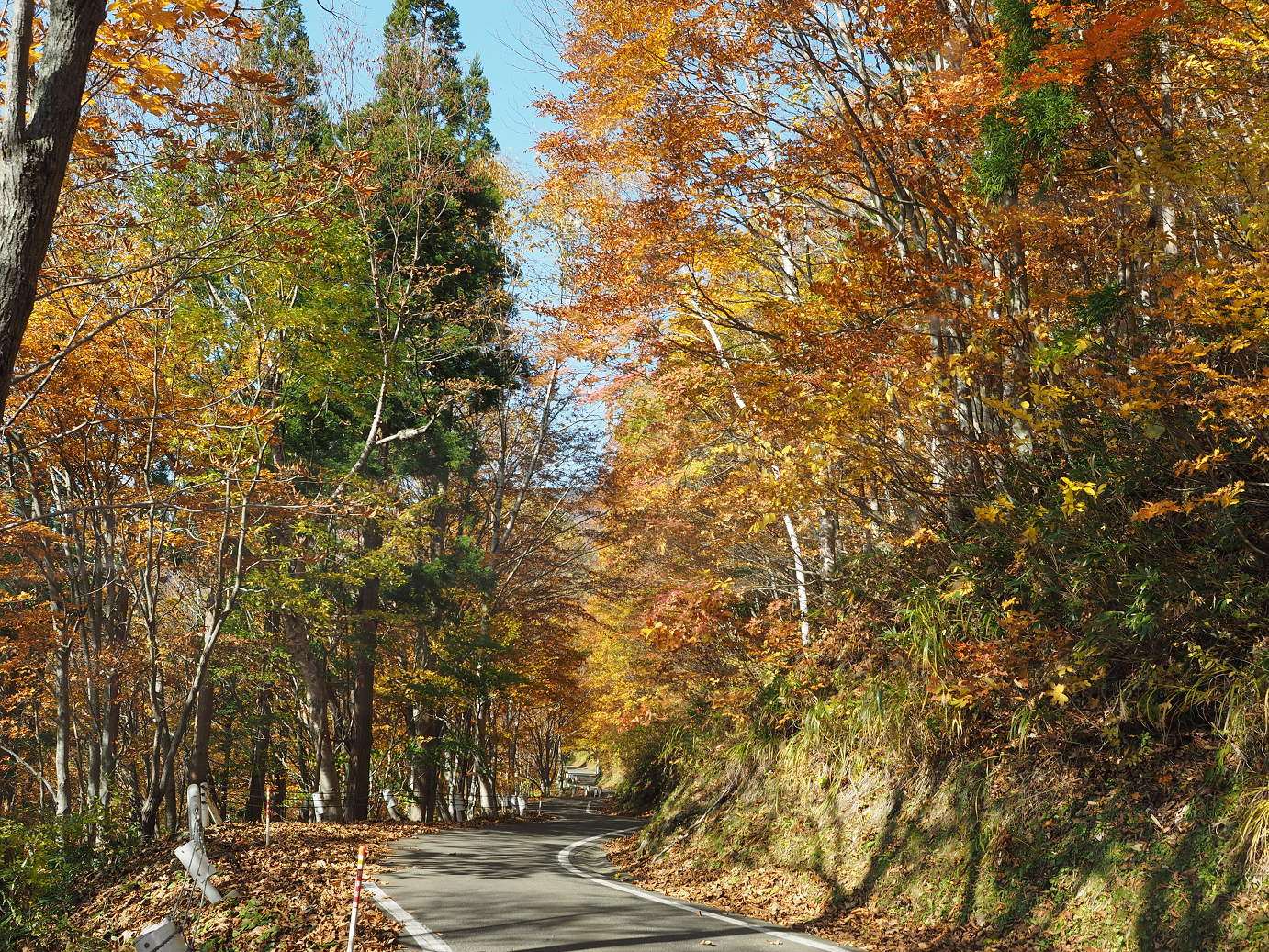 PA200897.jpg