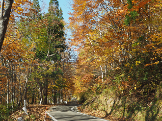 PA200897_thumb.png