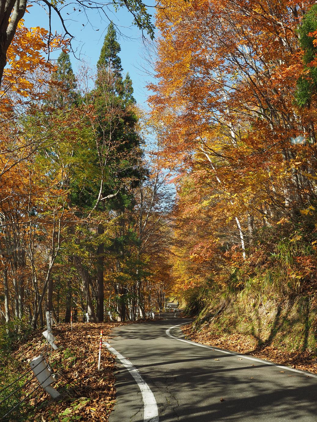 PA200898.jpg