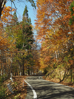 PA200898_thumb.png
