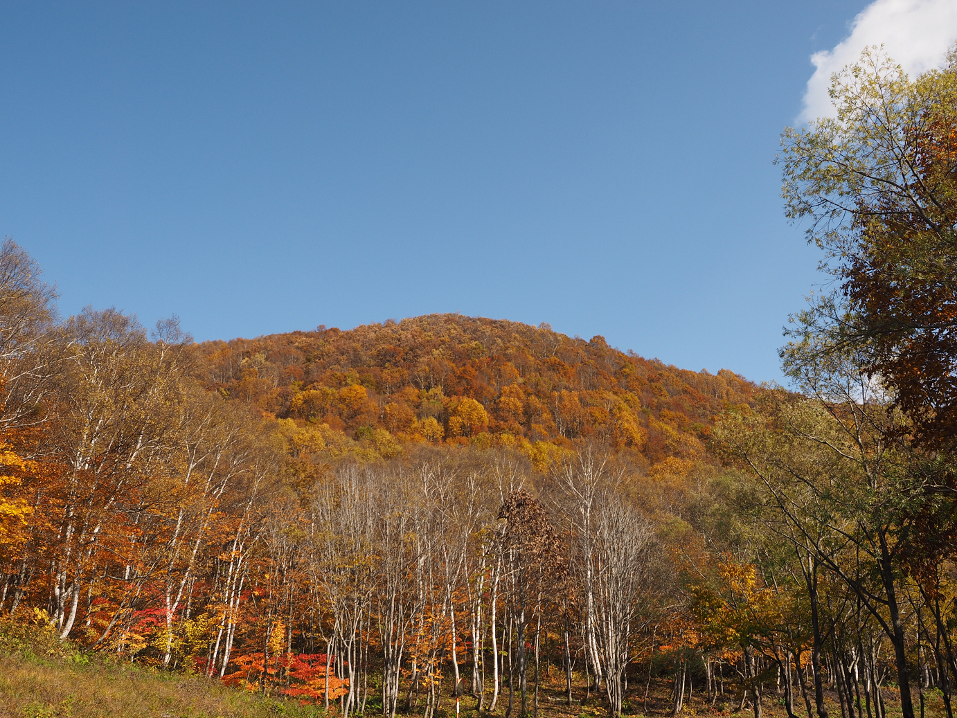 PA200904.jpg
