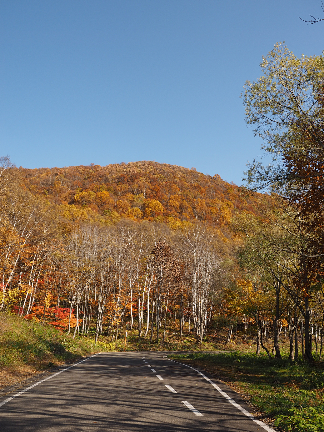 PA200906.jpg