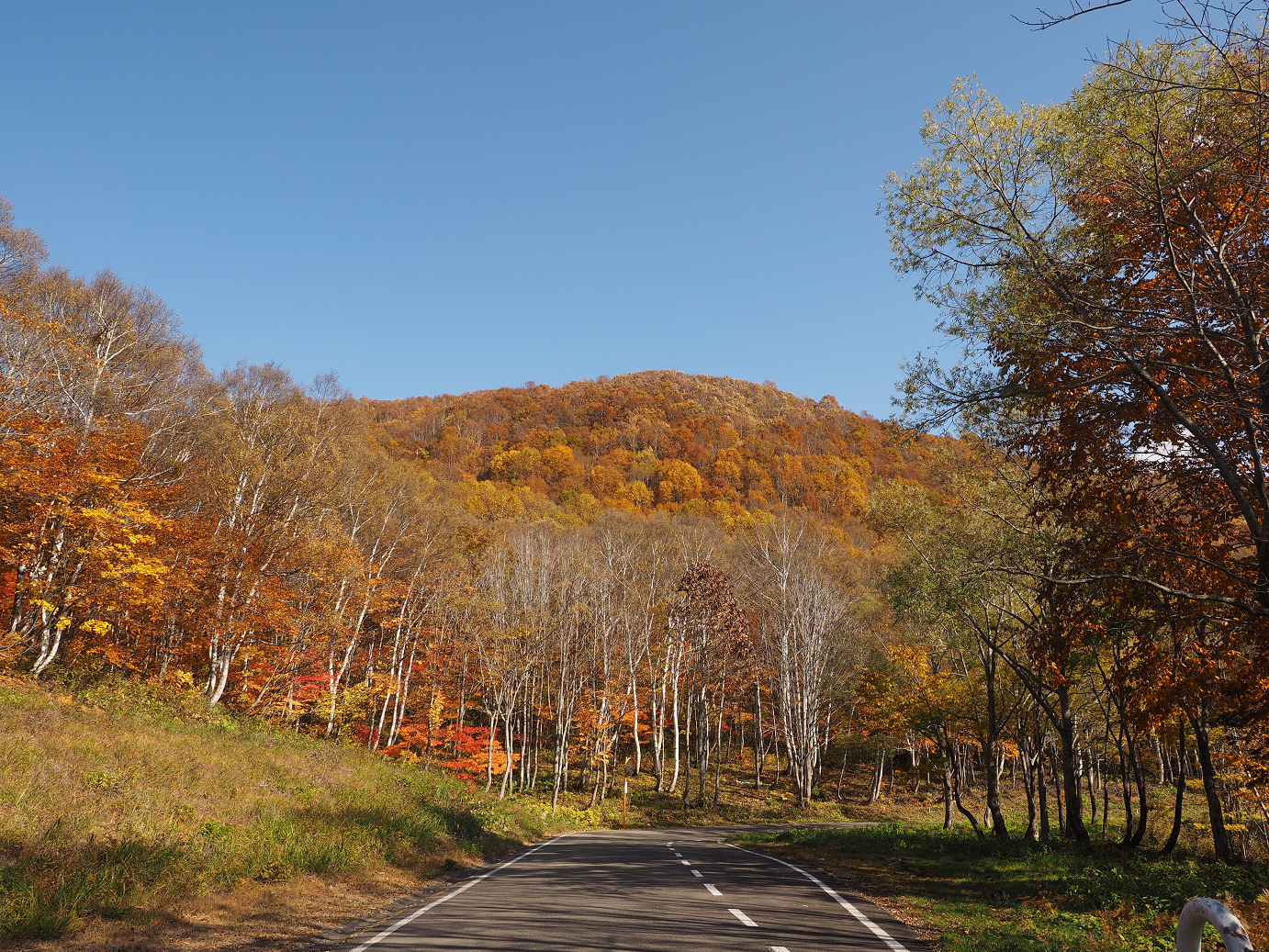 PA200907.jpg