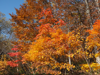 PA200908_thumb.png