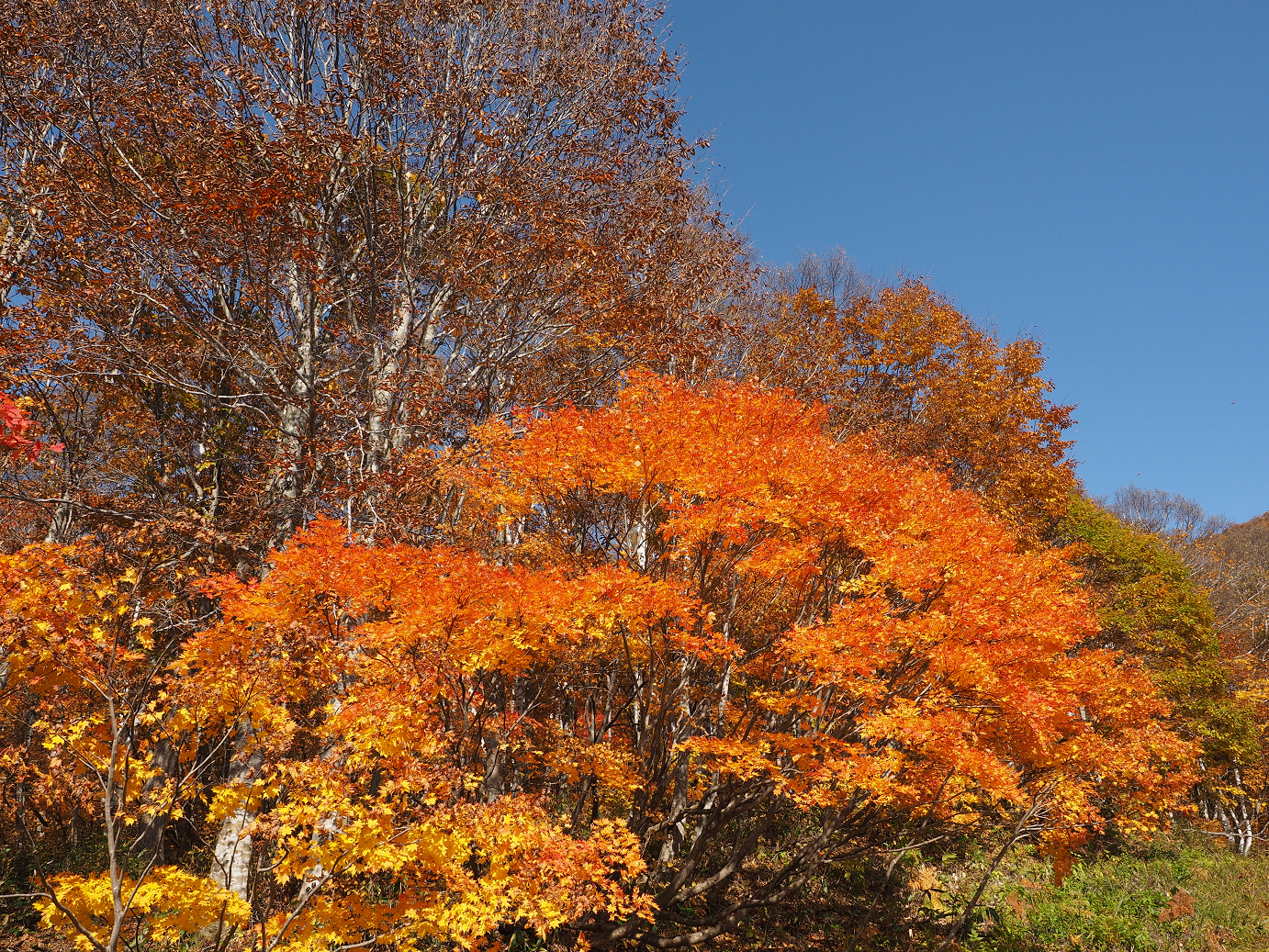 PA200909.jpg