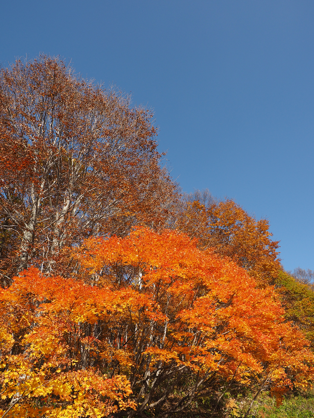 PA200910.jpg