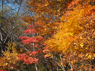 PA200911_thumb.png