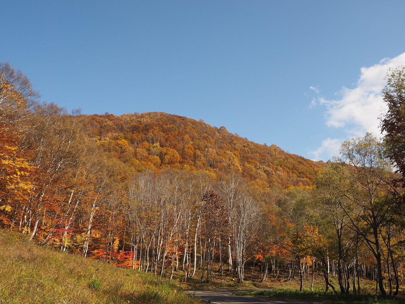 PA200913.jpg