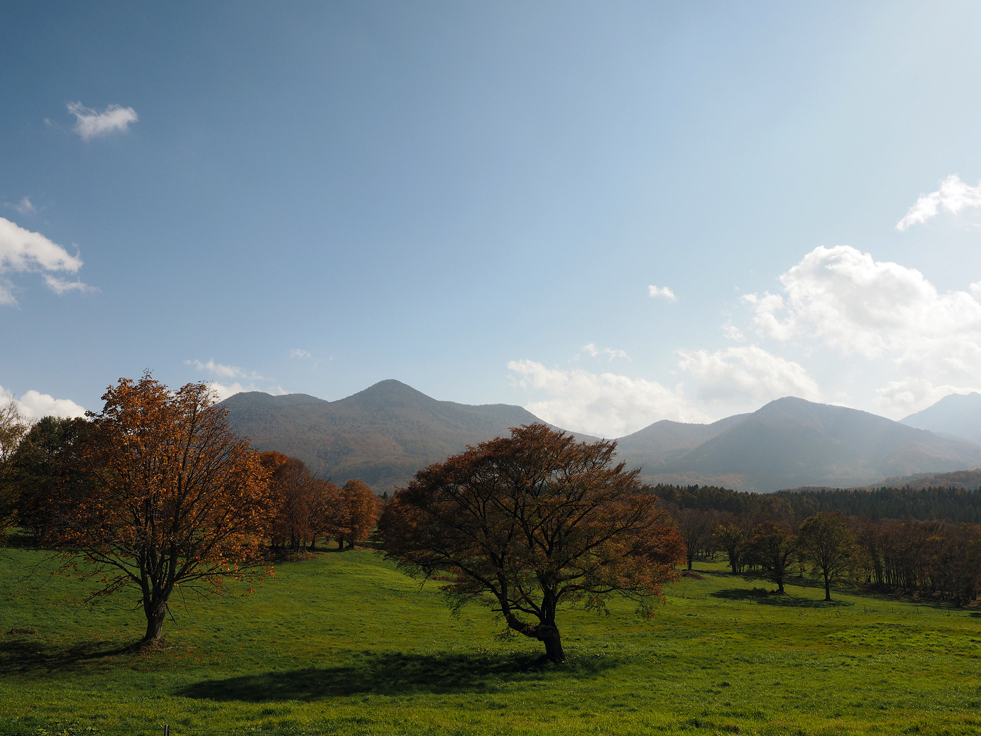 PA200915.jpg