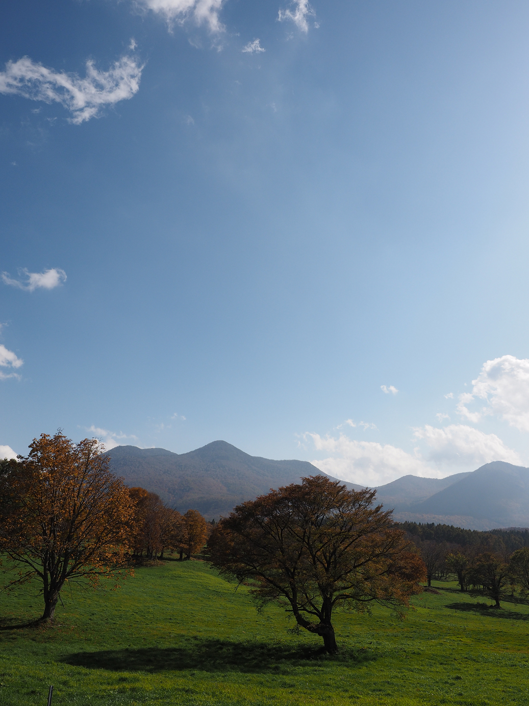 PA200916.jpg