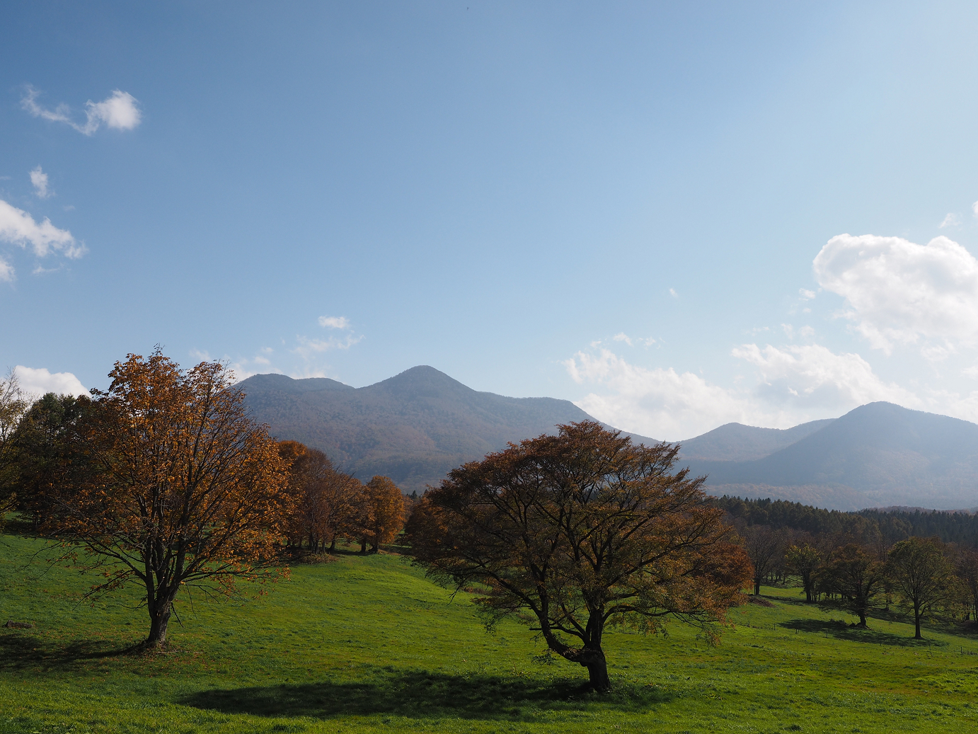 PA200918.jpg