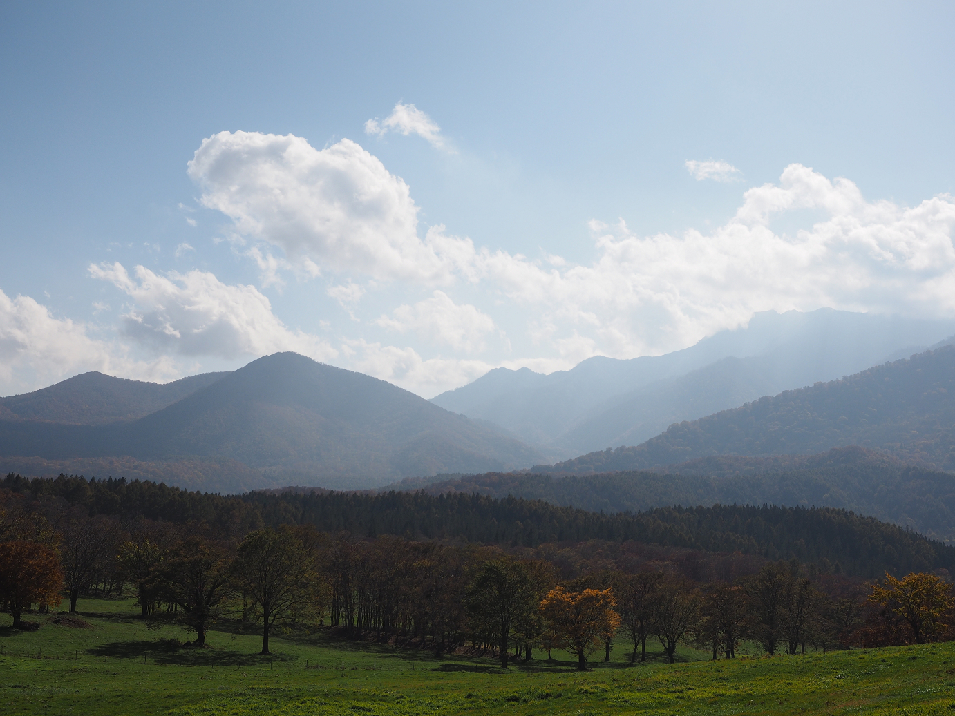 PA200919.jpg