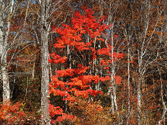 PA200923_thumb.png