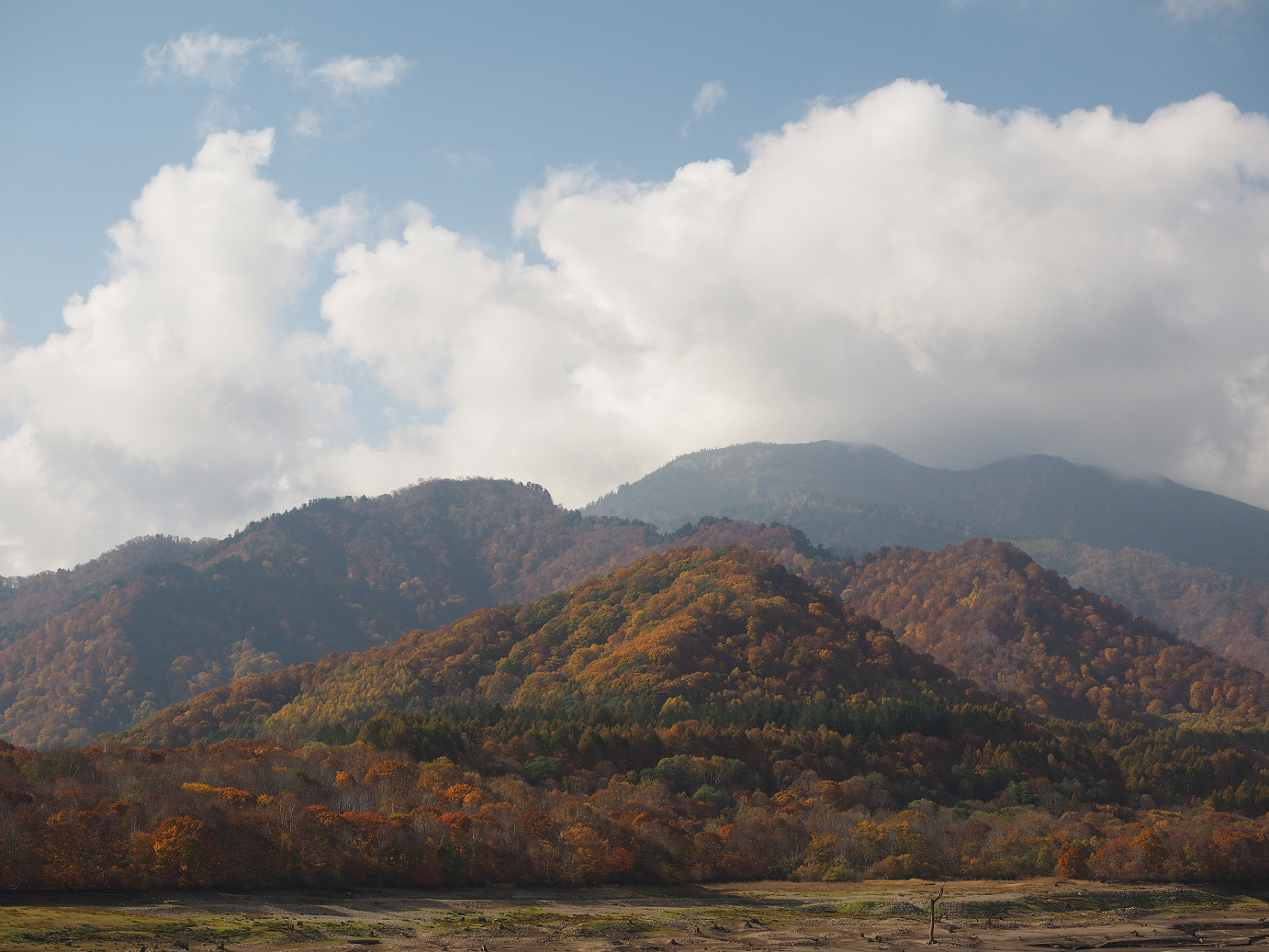PA200934.jpg