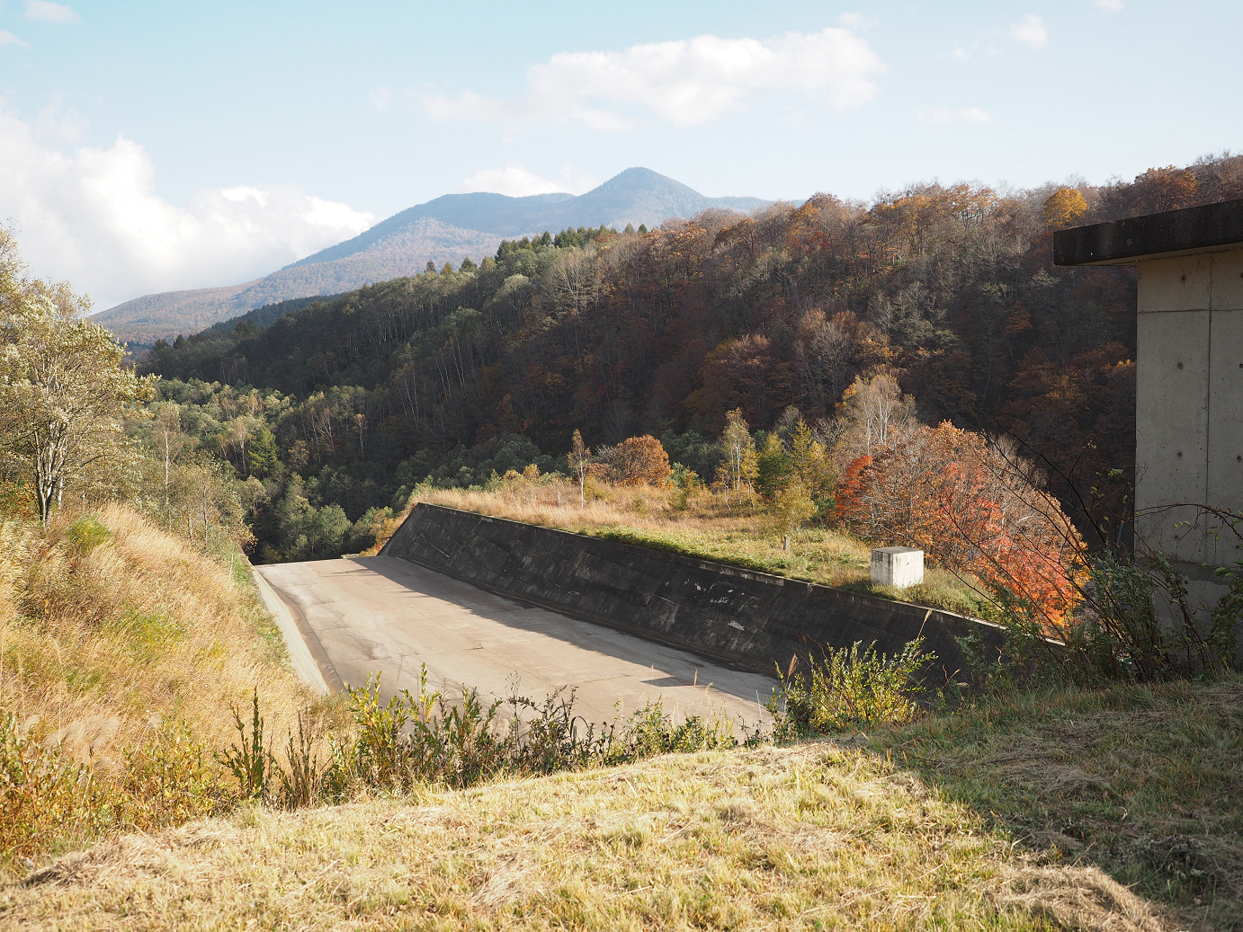 PA200944.jpg