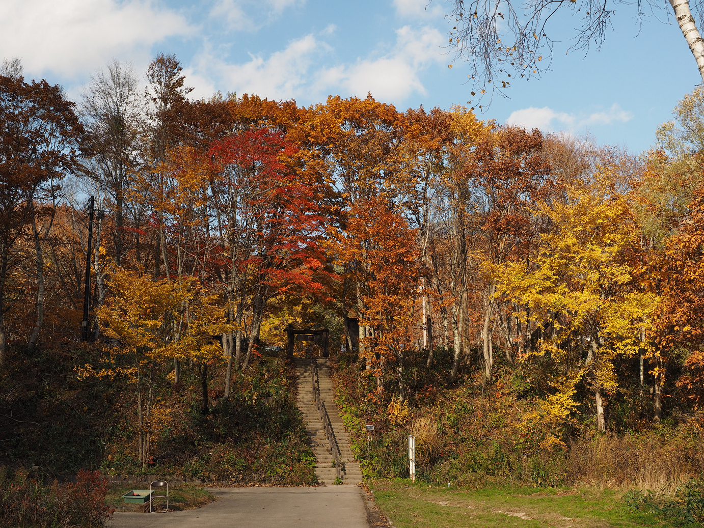 PA200949.jpg