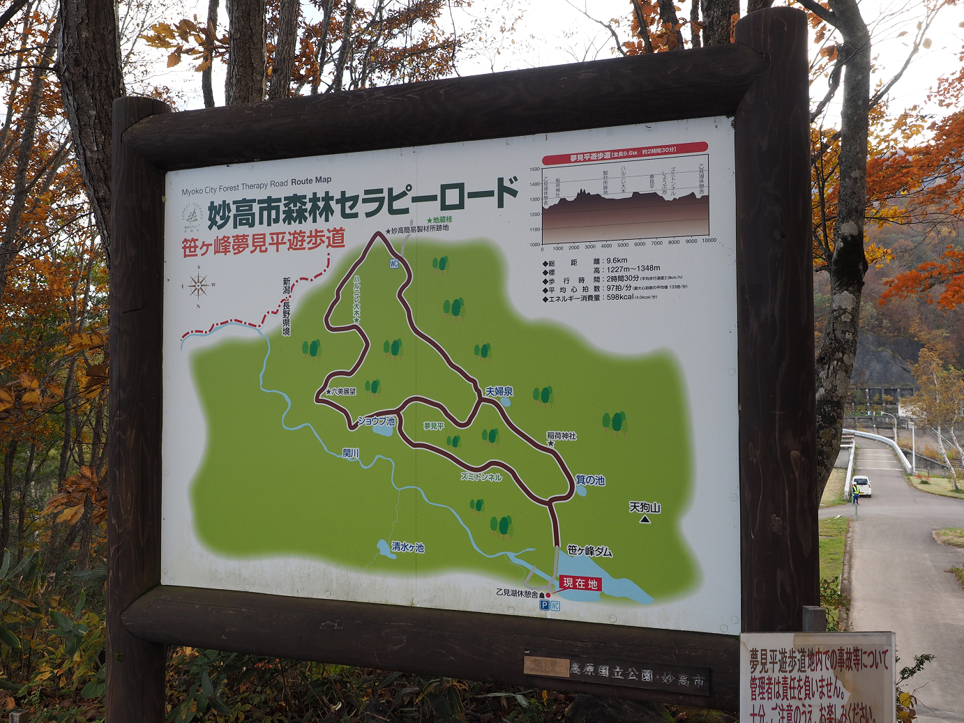 PA200954.jpg