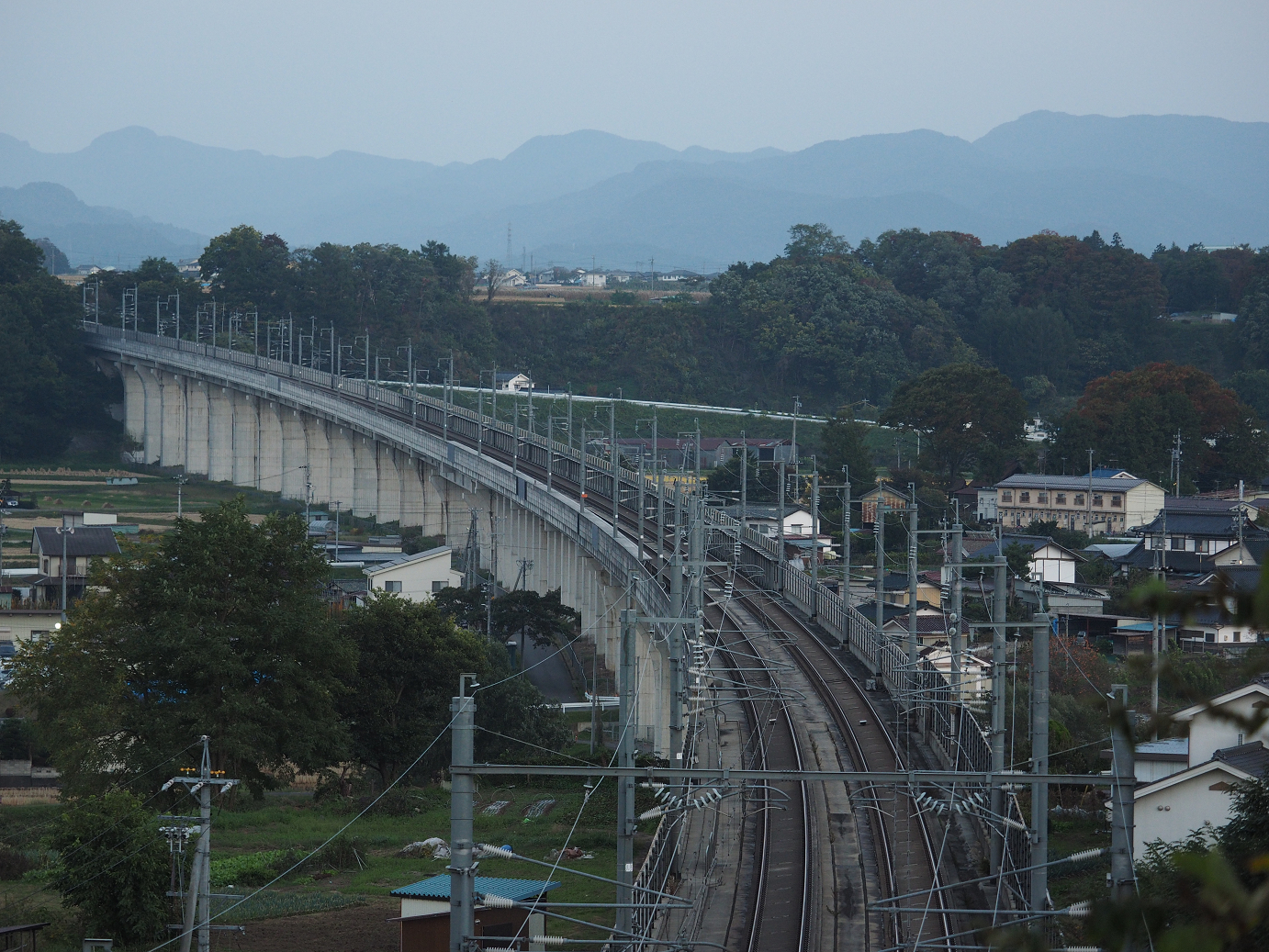 PA200955.jpg