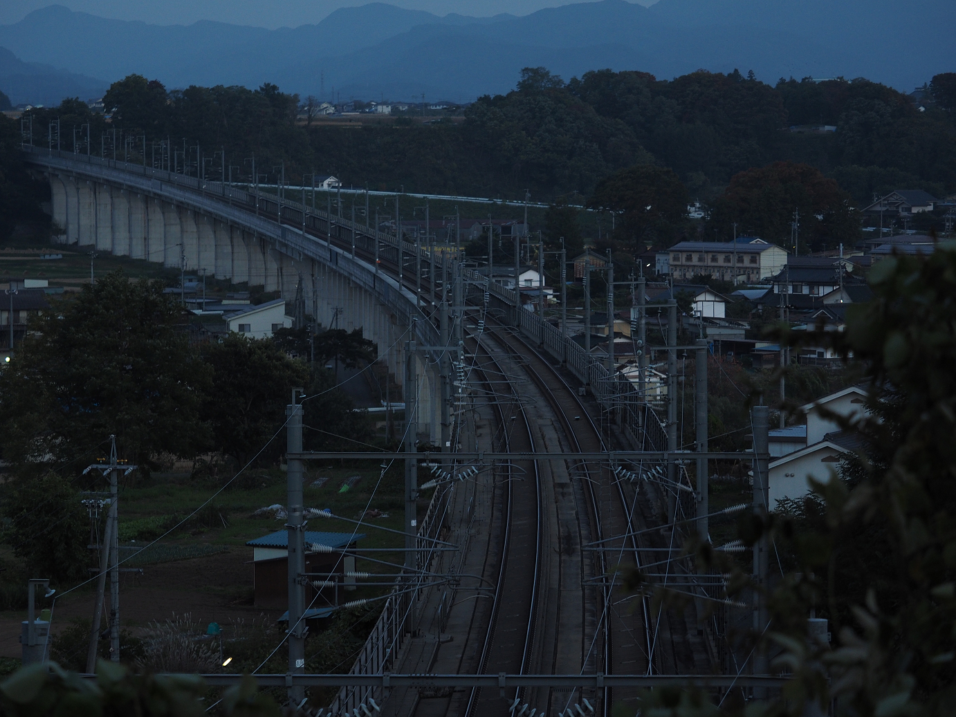 PA200958.jpg