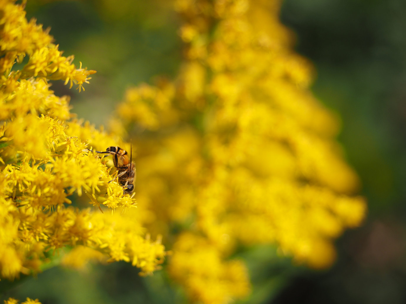 PA261058.jpg