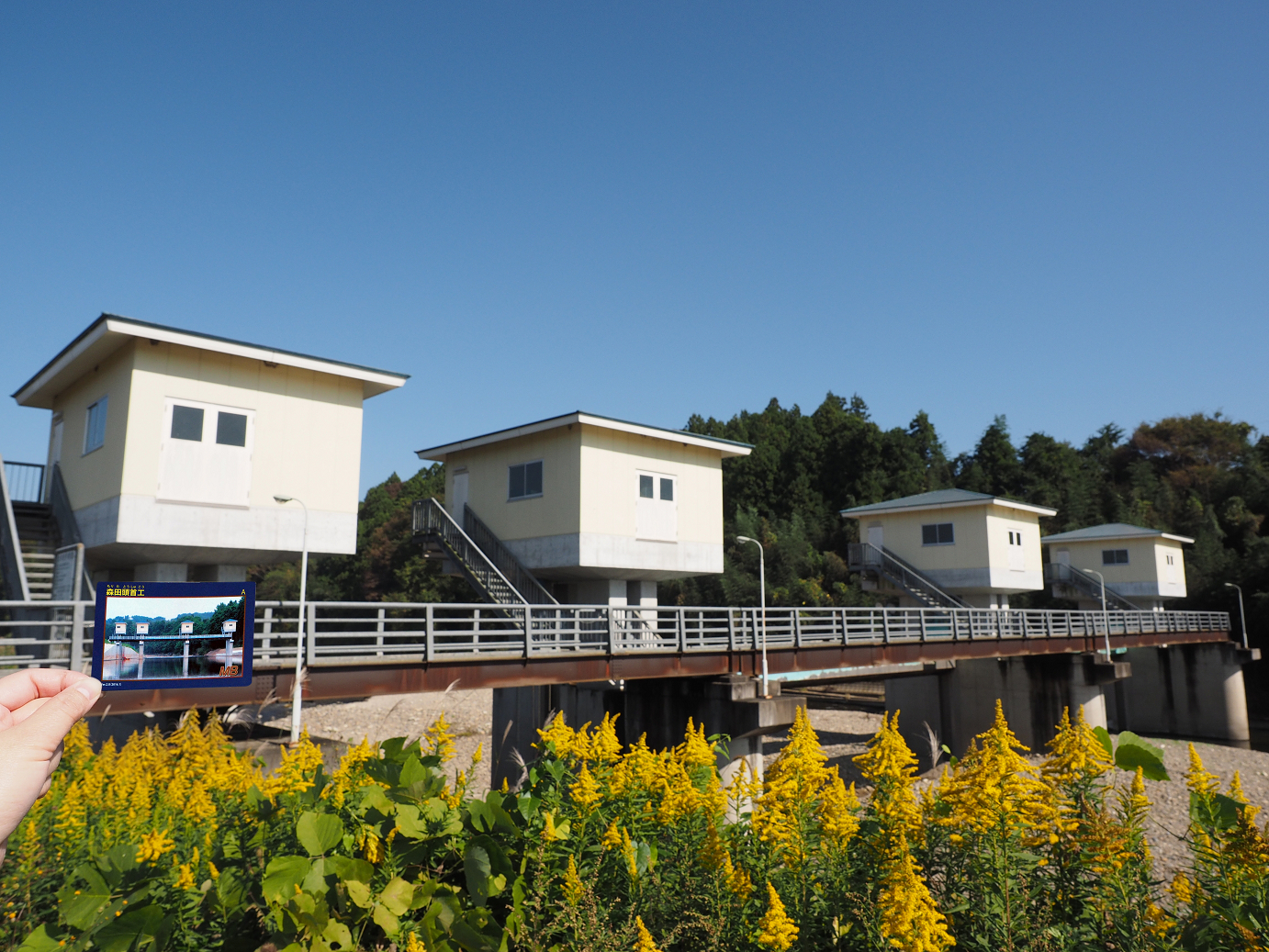PA261060.jpg