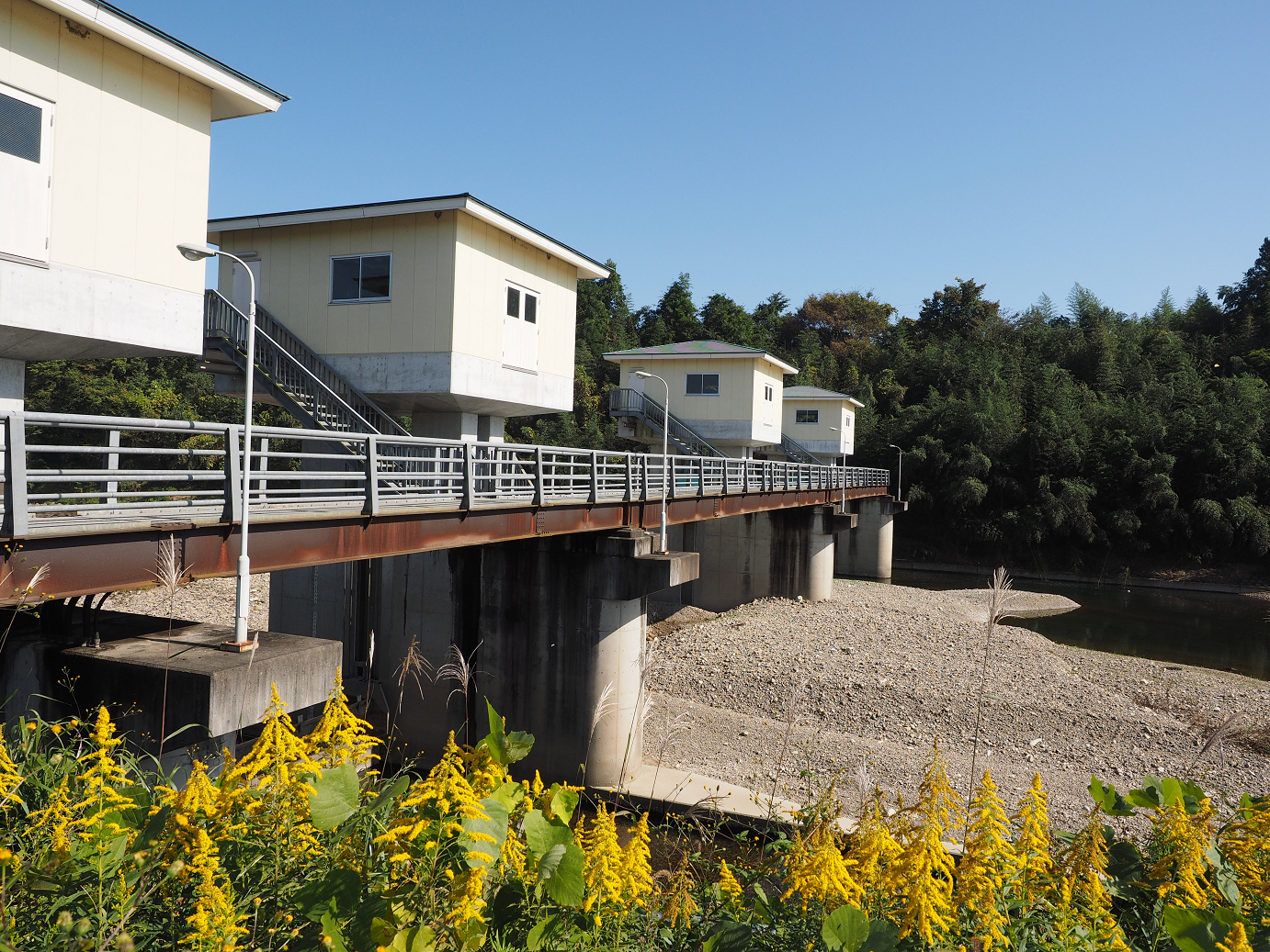 PA261061.jpg