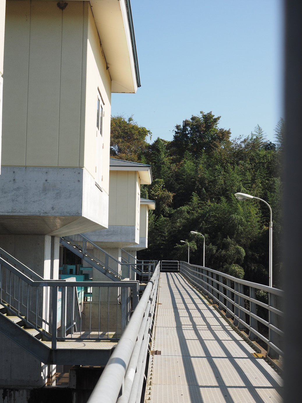 PA261064.jpg