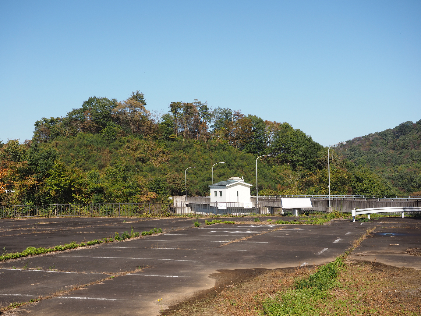 PA261083.jpg
