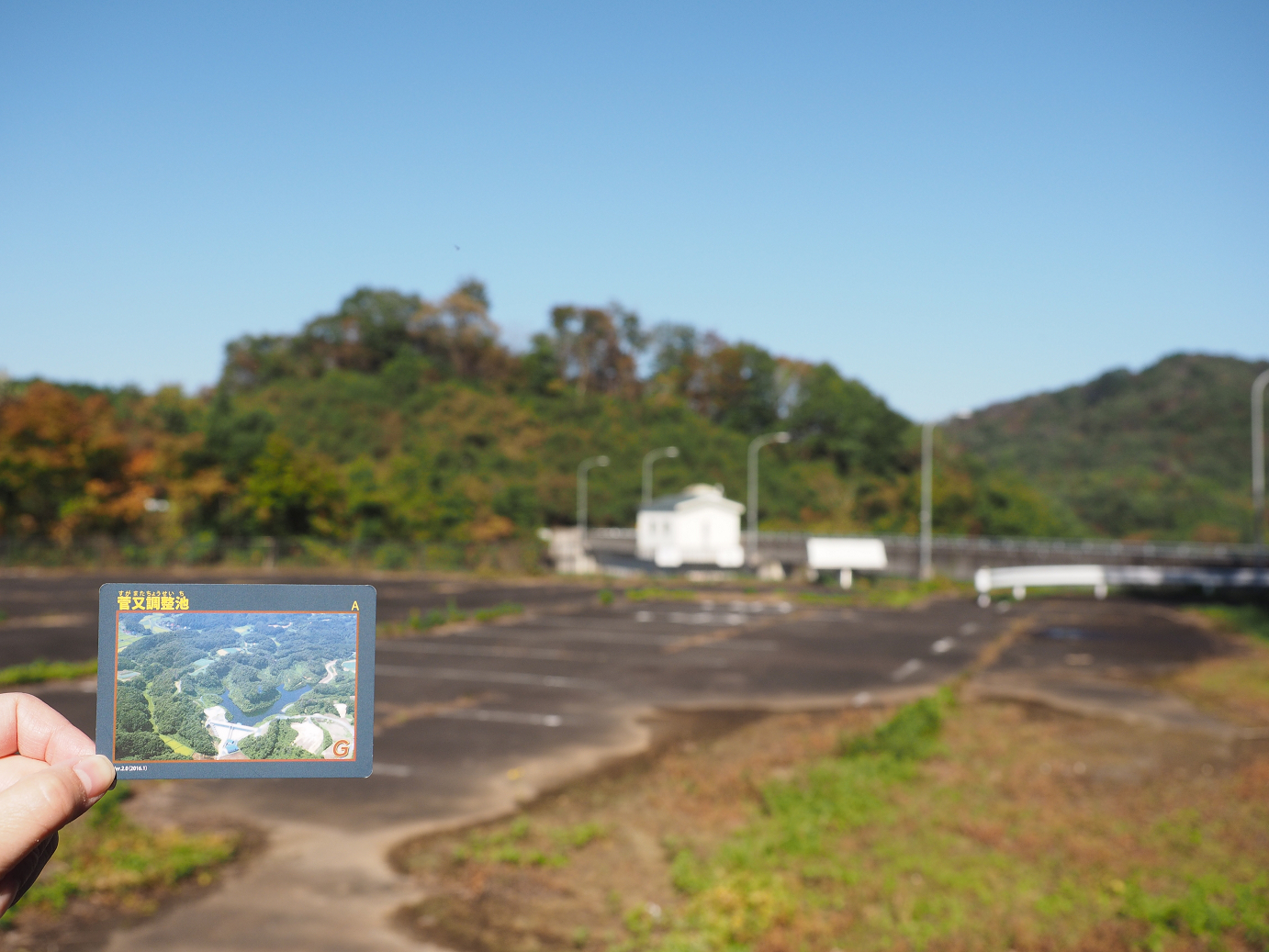 PA261084.jpg