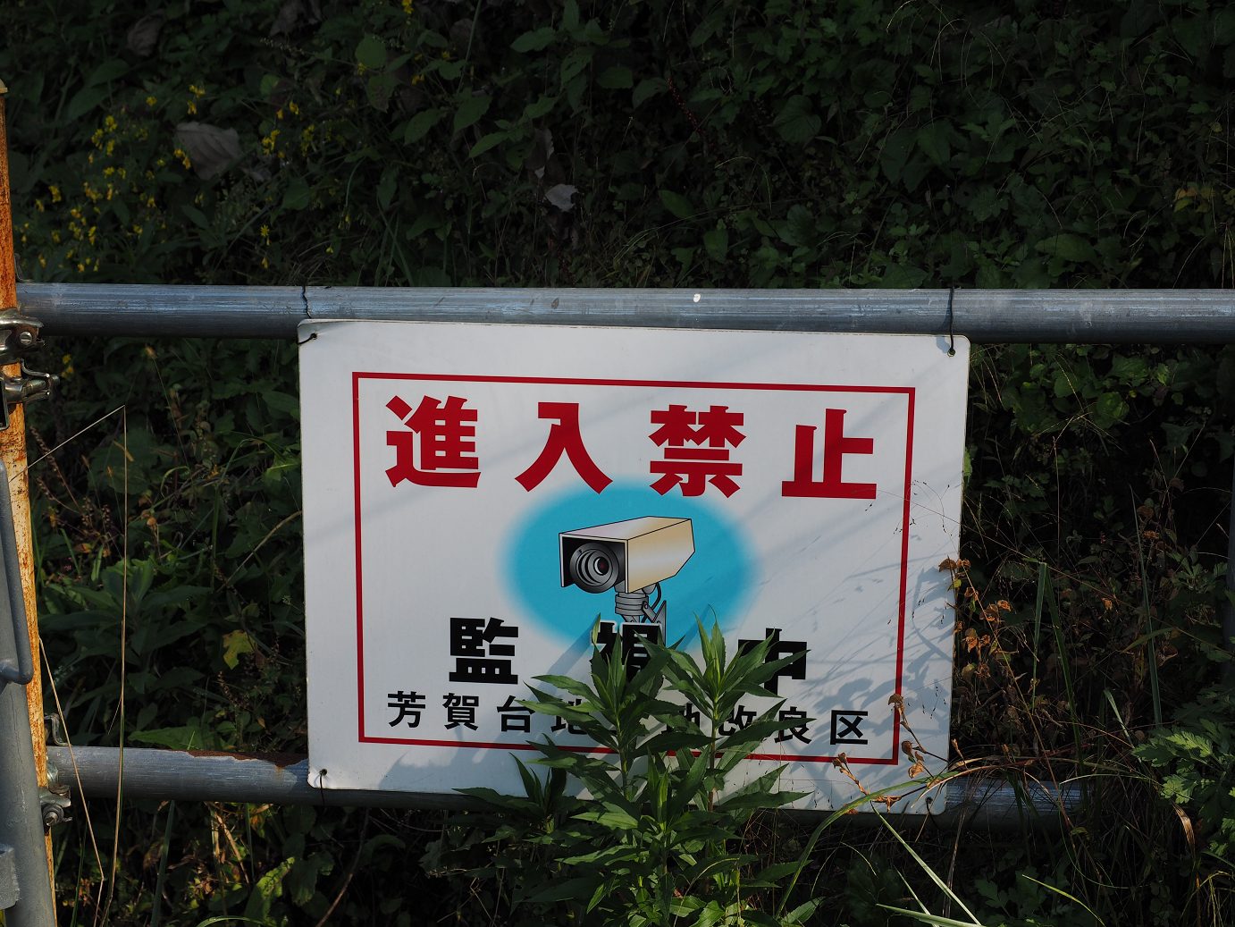 PA261085.jpg