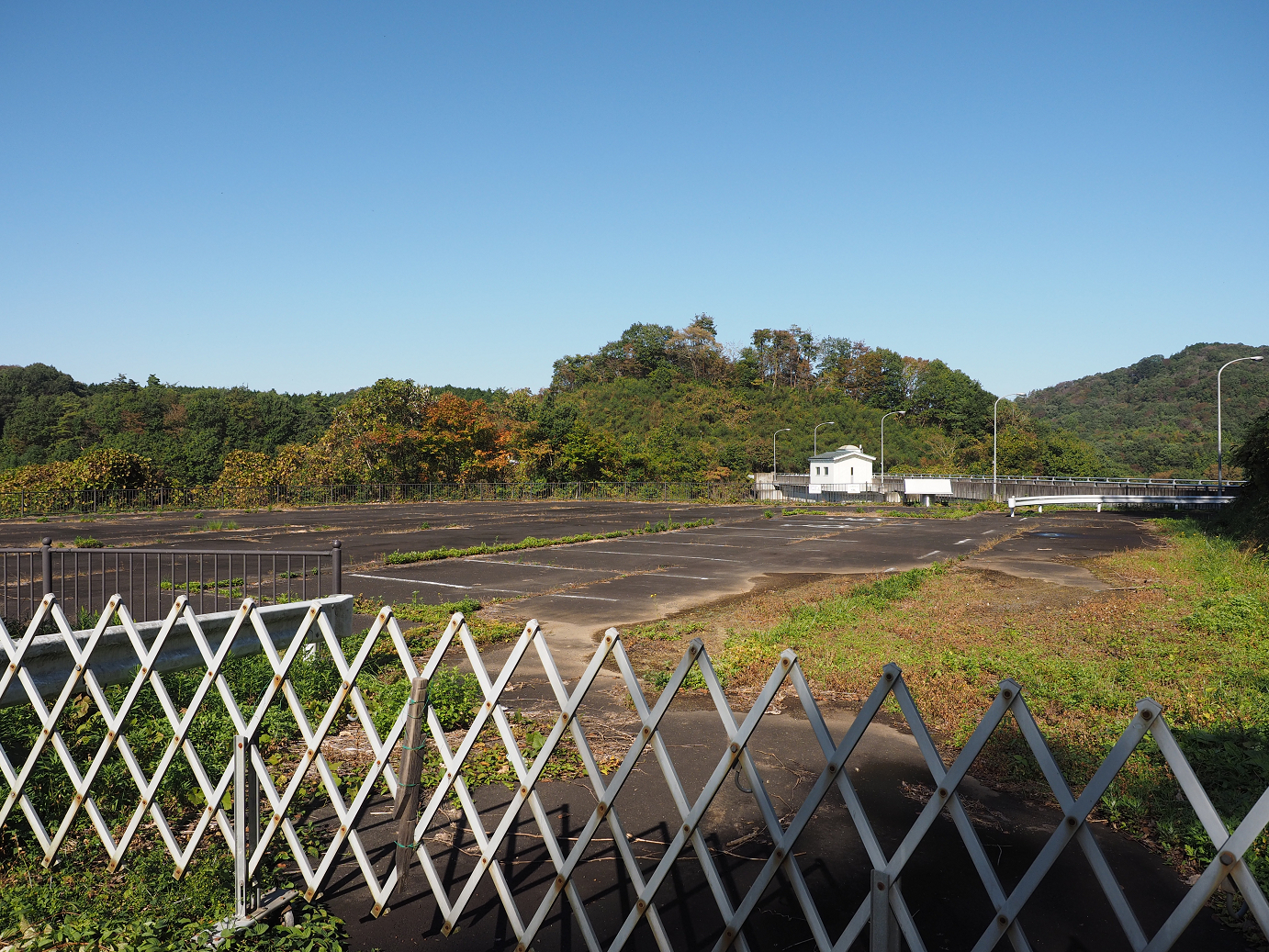 PA261086.jpg