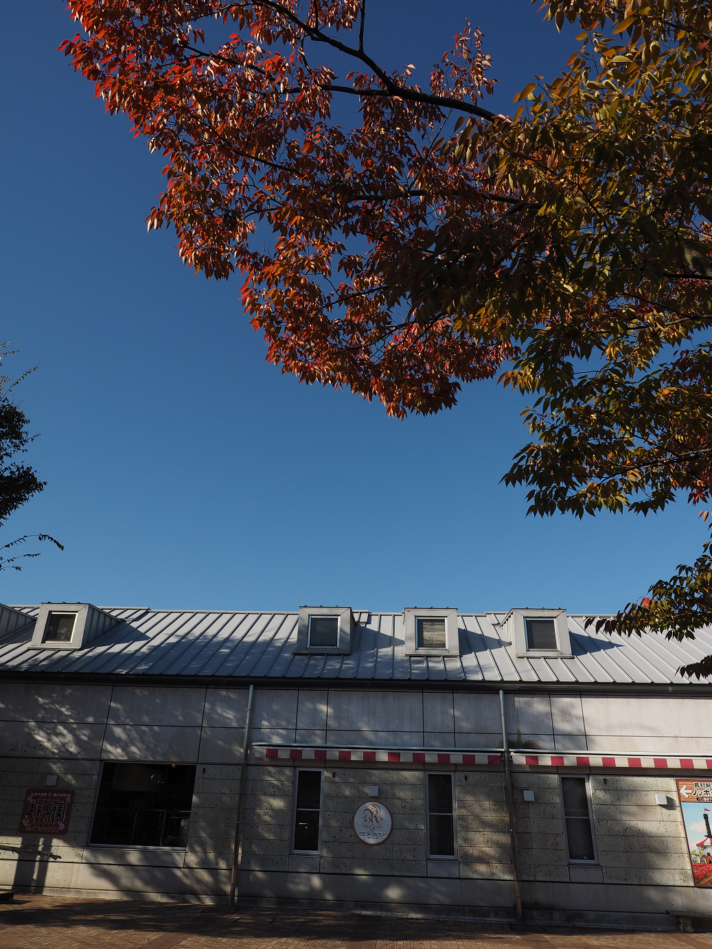 PA261098.jpg