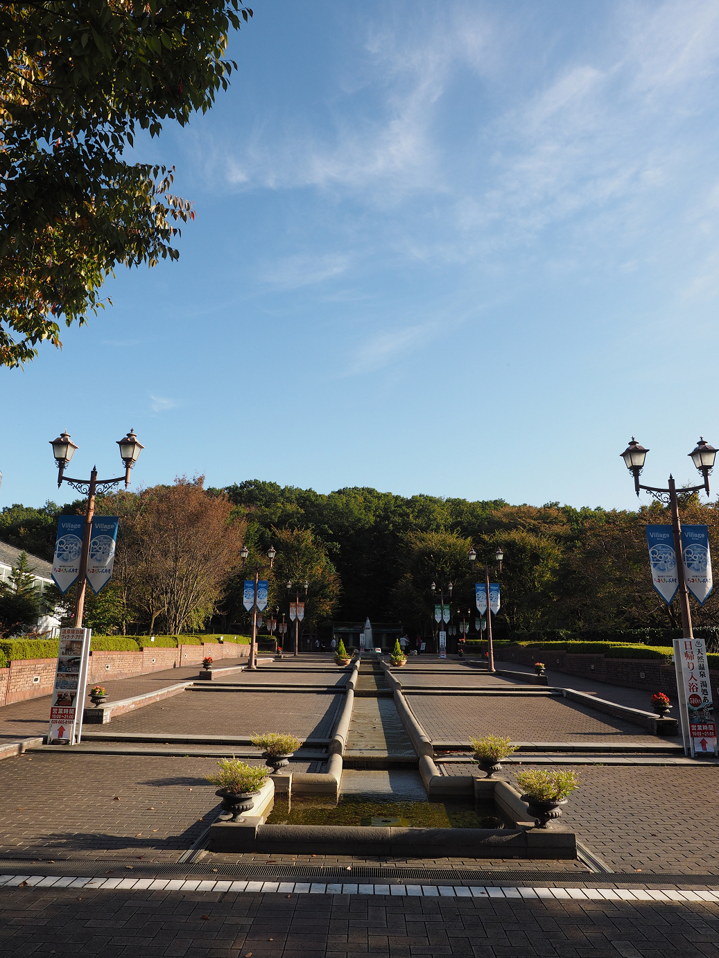 PA261100.jpg