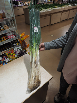 PA261106_thumb.png