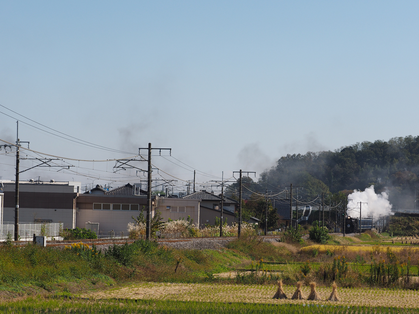 PB031284.jpg